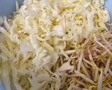 Foto langkah ke 2 dari resep Lumpia Sayur.