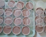 Foto langkah ke 5 dari resep Puding Susu Coklat.