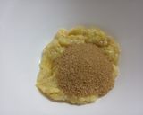Foto del paso 1 de la receta: Budín de banana y cacao vegano