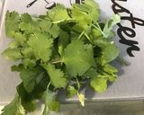 Une image de l'étape 7 de Concombre mariné crème et herbes salade feuille de chêne.