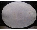 A picture of step 5 of Crispy Chicken Tortilla Roll (w/ white sauce).