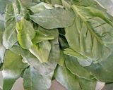A picture of step 1 of Palak soup.