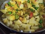 Cabbage vegetable