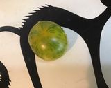 Une image de l'étape 3 de Paniers de melon à la pancetta Corse grillée et tomate Tiverta.