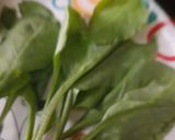 পালং শাকের পকোড়া(Palak saager pakoda recipe in Bengali) রেসিপির ধাপ 1 ছবি