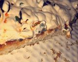 صورة لخطوة 6 من وصفة بيتزا 🍕