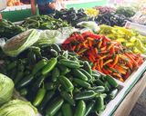 A picture of step 3 of Farmers market/ Farm stand field trip! Dec. 2016.