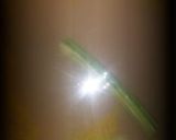 A picture of step 1 of Dal tadka.