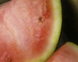 Foto del paso 1 de la receta: Fruta confitada para pan de Pascua