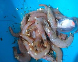 Foto del paso 2 de la receta: Gambas frescas salteadas al ajillo y perejil