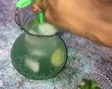 Mint lemonadematakin girki8 hoto