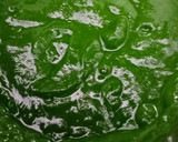 होटल स्टाइल पालक पनीर (Hotel style palak paneer) रेसिपी चरण 2 फोटो