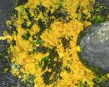 Foto langkah ke 13 dari resep Nasi goreng kunyit dan telur dadar.
