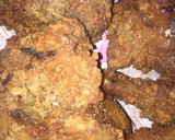 A picture of step 4 of Chicken nugget.