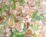 A picture of step 4 of Parwal aloo korma.