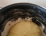 Foto del paso 6 de la receta: Empanada/tarta de manzana