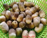 Hình bước làm 1 của món Nấm rơm kho nước tương