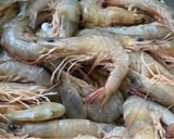 รูปขั้นตอนการทำที่ 2 ของ กุ้งแช่น้ำปลา
