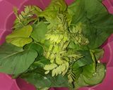 Foto langkah ke 6 dari resep Sayur Bening Daun Telo.