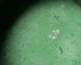 Foto langkah ke 1 dari resep Cendol Hunkwe.