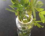 Foto del paso 5 de la receta: Ajiaco de Habas