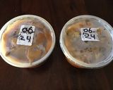 A picture of step 3 of California Farm Garden Tomato Bean Stew.