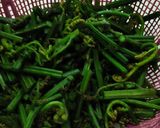 Foto langkah ke 1 dari resep Gulai Pakis Pedas Simple.