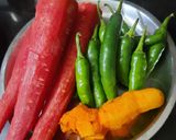 गाजर मिर्च वाला अचार (Gajar mirch wala achar recipe in hindi) रेसिपी चरण 1 फोटो