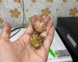 Foto langkah ke 2 dari resep Opor Telur Tahu.