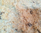 Foto del paso 2 de la receta: Budín sin harina, sin azúcar, con avena y salvado integral
