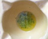 Foto del paso 1 de la receta: Codillo de cordero en salsa