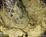 Foto del paso 2 de la receta: Huevos rellenos de crema de aguacate