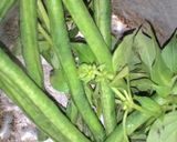 Foto langkah ke 1 dari resep Pecok kacang panjang kemangi.