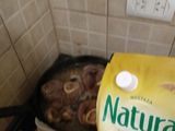 Osobuco a la mostaza