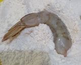 Foto langkah ke 3 dari resep Udang Saus Telur Asin.