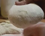 Une image de l'étape 4 de 🍕 Pâte à pizza à l'origan.