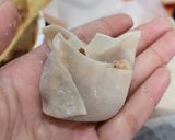 A picture of step 8 of How to fold a Siomai.