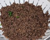 A picture of step 1 of French Lentil Salad.