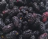 Foto del paso 1 de la receta: Dulce o Mermelada de Moras y Miel