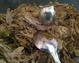 Foto del paso 5 de la receta: Pulled pork/Bondiola desmechada en la Essen