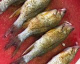 Foto del paso 2 de la receta: Pescados constantin al disco al estilo Sonorense