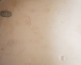 A picture of step 6 of Royal Sweet(shahi tukray)#Foodies&Friends.
