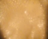 A picture of step 8 of Vichana.