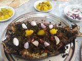 ماهی