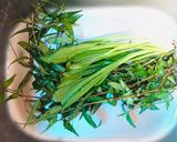 Hình bước làm 8 của món Gỏi cá trích cuốn bánh tráng