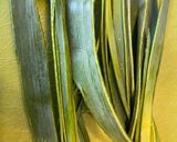 A picture of step 1 of Oven roasted leek.