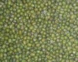 Foto langkah ke 1 dari resep Bubur Kacang Hijau Ronde.
