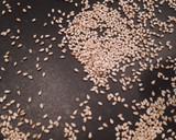 Foto del paso 1 de la receta: Salsa mole de pipián rojo