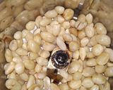 A picture of step 1 of Peanut's Jaau.