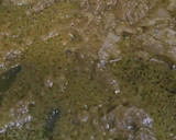 Foto del paso 2 de la receta: Fideos de arroz con pasta de curry verde
